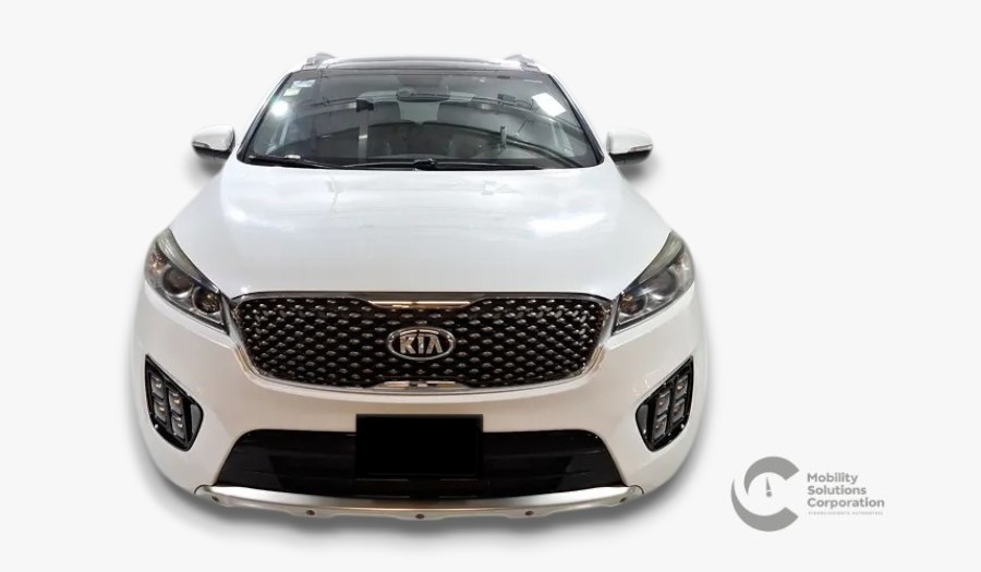 Auto 1